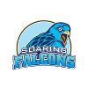 Hold ADU Falcons Women. Opstilling Basketball