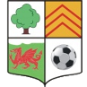 Hold Llwydcoed. Opstilling Football