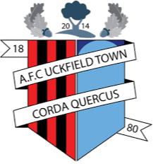 Hold Uckfield Town. Opstilling Football