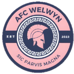 Drużyna AFC Welwyn. Skład Football
