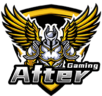 After Gaming CS2 (CS:GO)队