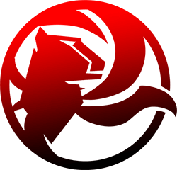Aggressive, склад з Overwatch