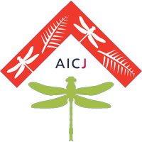 AICJ High School (w) – Football Team