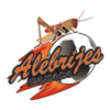 Alebrijes de Oaxaca II – Football Team
