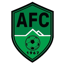Hold Almaden FC. Opstilling Football