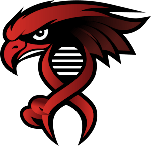 Hold Alpha Dominion Nation. Opstilling CS2 (CS:GO)
