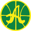 Drużyna Alvik. Skład Basketball