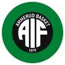 Equipo Ammerud. Composición De Basketball