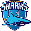 Antibes – Basketball Équipe