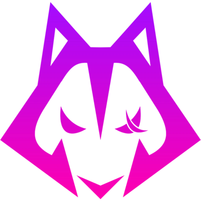 Antic Esports Valorant队