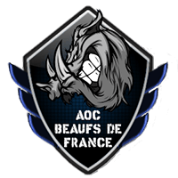 Команда AOC Beaufs de Франция. Состав Dota 2