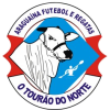 Equipo Araguaina. Composición De Football