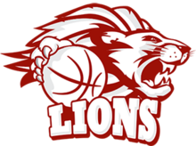 Equipo Arkadia Traiskirchen Lions. Composición De Basketball