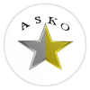 Korofina Football Team