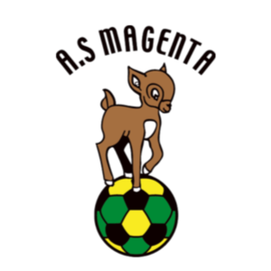 Magenta Football Team
