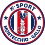 Hold ASD K-Sport Montecchio. Opstilling Football