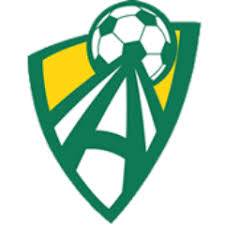 Ashburton – Football Team