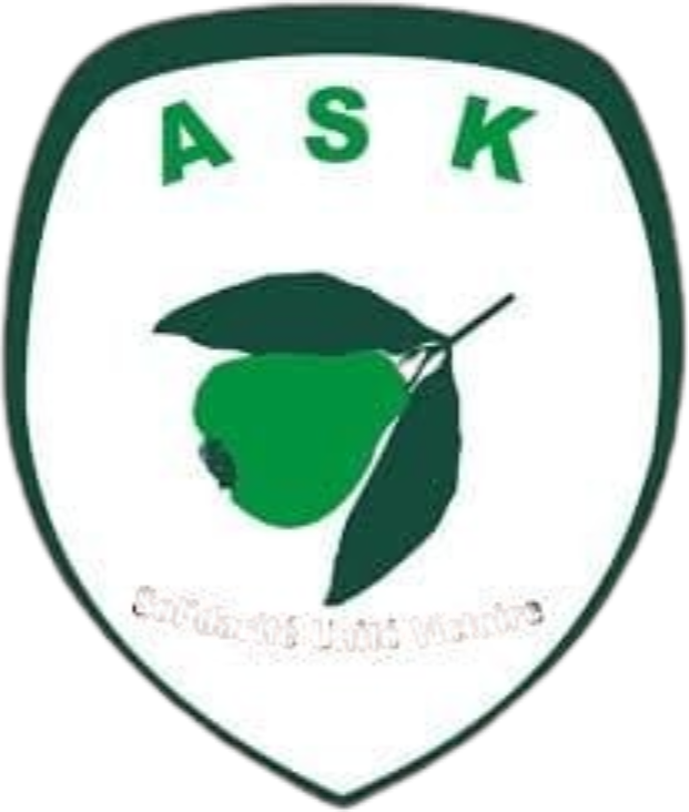 Команда ASK Kourittenga. Состав Football