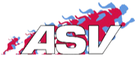 Equipo Salzburgo ASV. Composición De Football