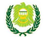 Asyut Petroleum – Football Team