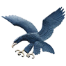 Ateneo Blue Eagles – Basketball Team