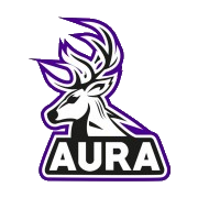 Equipo Aura. Composición De CS2 (CS:GO)