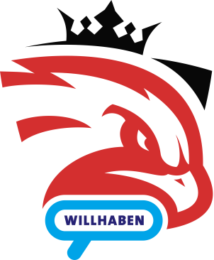 Austrian Force willhaben – Rocket League Team