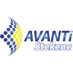 Hold Avanti Stekene. Opstilling Football