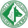 Hold Avellino. Opstilling Football