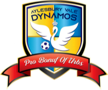 Drużyna Aylesbury Vale Dynamos F.C.. Skład Football