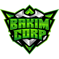 Bakim Corp Valorant Team