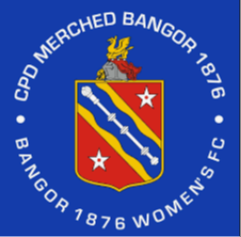 Bangor 1876 Football Team