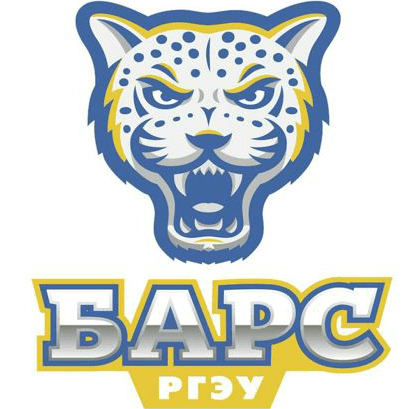 Bars Rostov Basketball Team