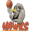 Команда Бэй Хокс. Состав Basketball