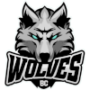 Drużyna BC Wilki. Skład Basketball