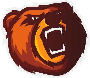 Drużyna Bears Concept. Skład CS2 (CS:GO)