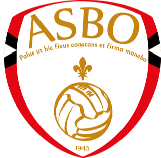 Equipo Beauvais. Composición De Football