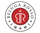 Belugarosso Iwami – Football Team