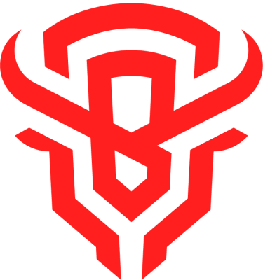 Drużyna BISONS ECLUB. Skład LoL