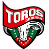 Equipo NK Bistrica. Composición De Football