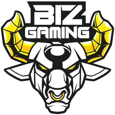Drużyna Biz gaming. Skład Dota 2