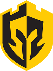 Black N Yellow – Dota 2 Équipe