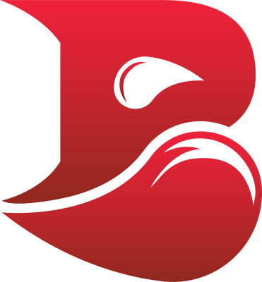 Equipo Bleed Esports. Composición De Dota 2