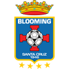 Blühend U20 Football Team