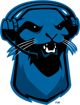 Blue Otter – LoL Équipe