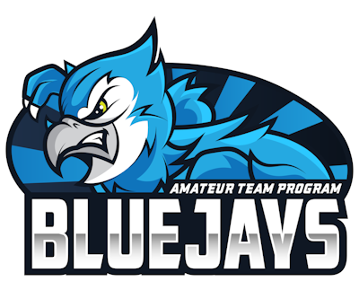 Equipo BLUEJAYS Prodigy. Composición De CS2 (CS:GO)