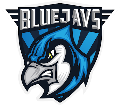 Equipo BLUEJAYS.de. Composición De CS2 (CS:GO)