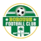 Borough Football队