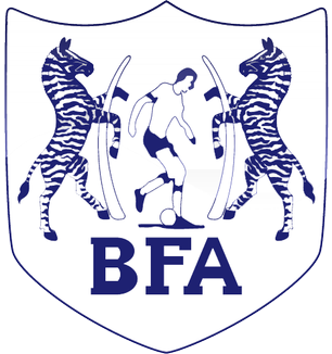 博茨瓦纳 Football队