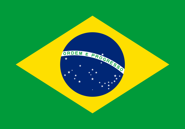 Equipo Brasil (f). Composición De Basketball
